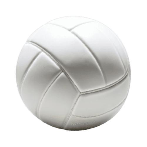 Volley Ball